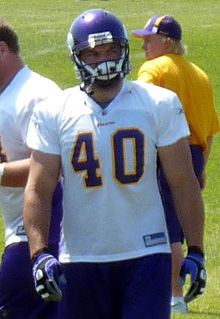 2010 Minnesota Vikings season - Wikipedia