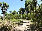 Italiano: Giardino di Boboli