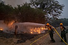 Five of the twenty largest wildfires in California history were part of the 2020 wildfire season.