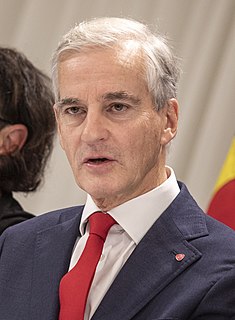 Jonas Gahr Støre Norwegian politician (born 1960)