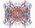 Pienoiskuva sivulle DNA-polymeraasi