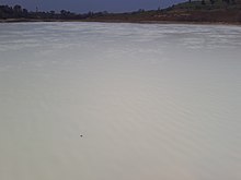 Lago bianco della Solfatara nella riserva naturale di Decima-Malafede