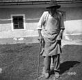 93- letni (slepi) Anton Mulh, Rusov oče, Selo pri Št. Pavlu 1950.jpg