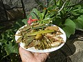 9662Cuisine food of Bulacan Baliuag Province 13.jpg