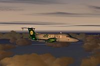 AFA Beech in Flight Simulator.jpg