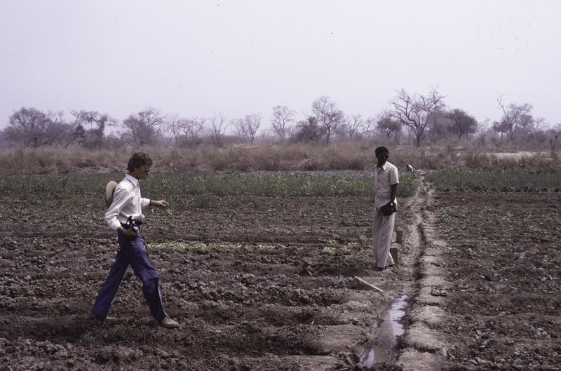 File:ASC Leiden - F. van der Kraaij Collection - 03 - 006 - Un potager irrigué. Un agent de développement français - Fara, province des Balé, Burkina Faso, 1981.tif