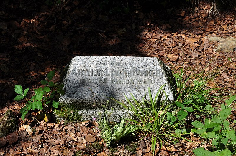 File:A memorial Stone in Chapel Woods - geograph.org.uk - 2150085.jpg