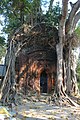 * Nomination: Aatchala terracotta temple engulfed by a tree at Kamalpur in Nadia district. The other temple behind this has been distastefully painted in yellow which do not have any panels anymore. By User:Amitabha Gupta --Kritzolina 18:41, 21 November 2022 (UTC) * Review Chromatic aberration needs to be fixed. -- Ikan Kekek 04:59, 22 November 2022 (UTC)