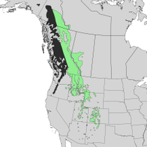 Range map showing subspecies