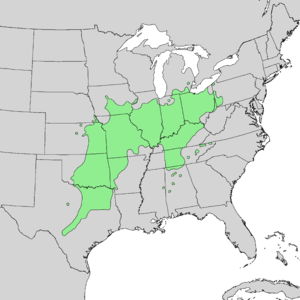 Aesculus glabra range map 1.png