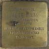 Alice Baum - Efeuweg 16 (Hamburg-Winterhude).Stolperstein.crop.ajb.jpg