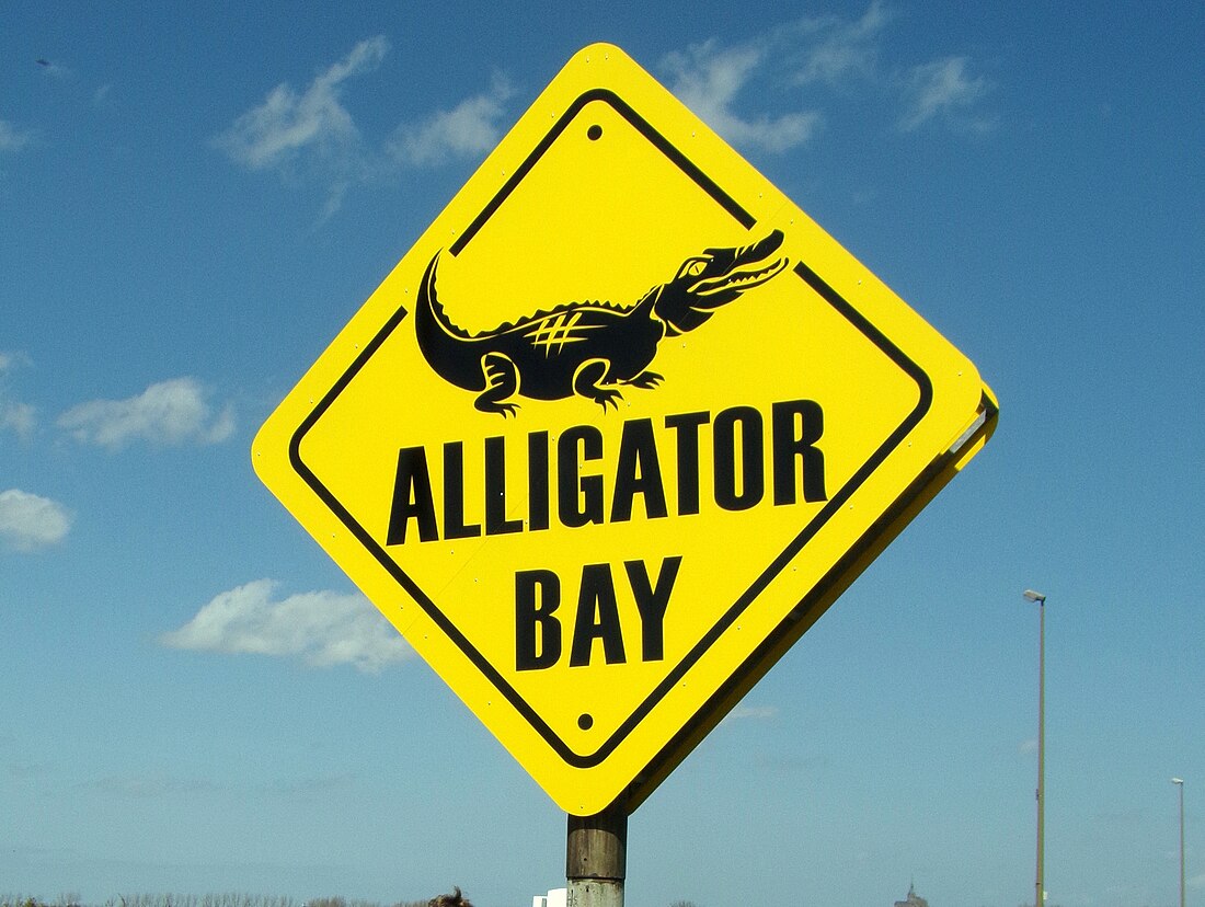 Alligator Bay