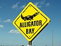 Иллюстративное изображение статьи Alligator Bay