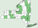 Amaranthus retroflexus NY-dist-map.png