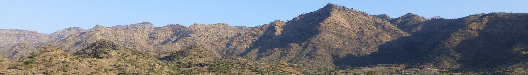 Bandera de Amhara.jpg