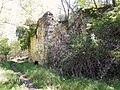 Ruines de l'ancien moulin à farine.