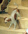 Andrea del sarto, tributo a cesare, 1519-21 (con aggiunte dell'allori del 1578-82) 08,1 cane.jpg
