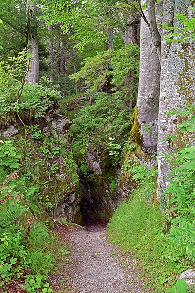 File:Annaberg - Ginselhöhe - 1.jpg