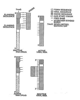 <span class="mw-page-title-main">Riboregulator</span>