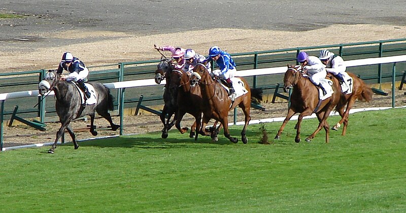 File:Arrivee 2012 Hippodrome de Longchamp2.JPG