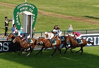 <span class="mw-page-title-main">Grand Prix de Paris</span> Horse race