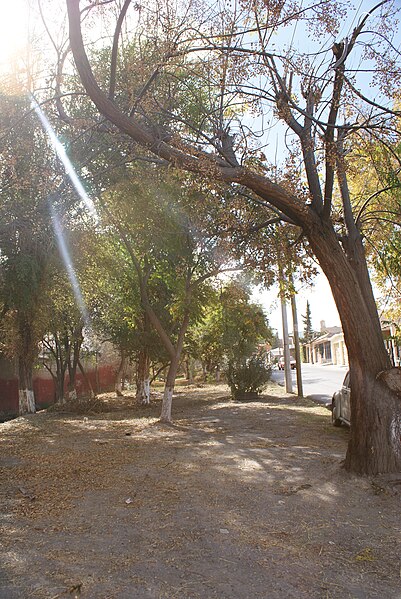 File:Arroyo, Fraccionamiento Urdiñola, Saltillo Coahuila - panoramio (27).jpg