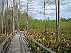 Everglades National Park.jpg