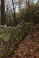 Čeština: Zdivo na úpatí Babky v lese, Středočeský kraj English: A forgotten wall in the middle of the forest near Babka Hill, Central Bohemia, CZ