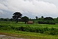 Bago, Myanmar (Burma) - panoramio (3).jpg