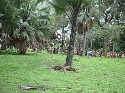 The crowd converging in Baila BailaFoule.JPG