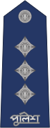 Insignia of ASP, 1st Year of service