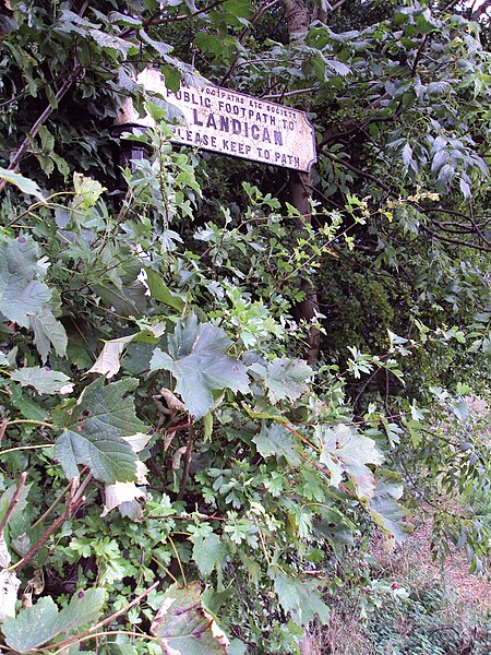 File:Barnston Road-Landican public footpath 1.JPG