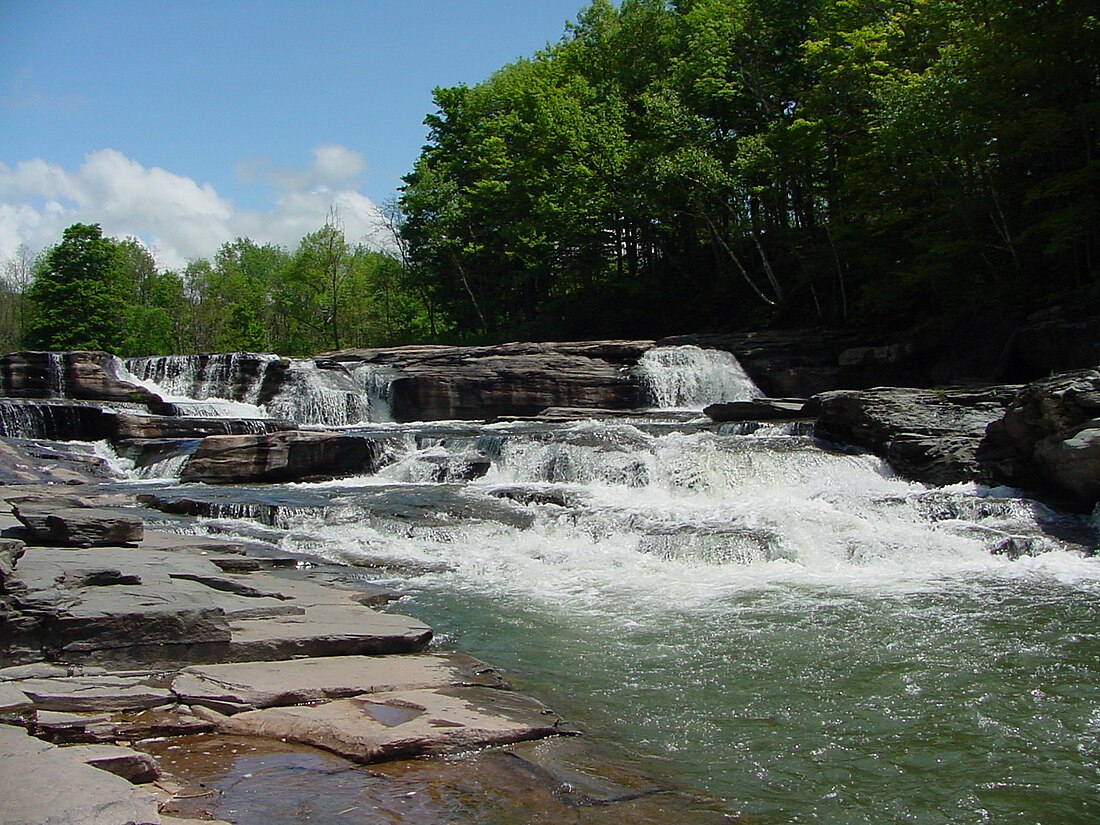 Batavia Kill (Schoharie Creek tributary)