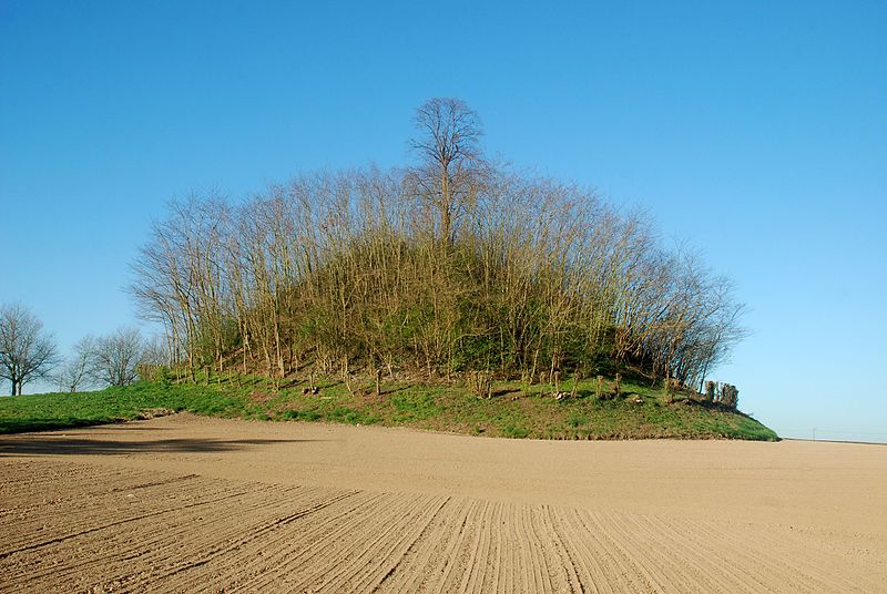 File:Belgique - Brabant wallon - Glimes - Tumulus - 02.jpg