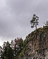 * Nomination Pine tree on a rock, near the Llanos del Hospital plains, Benasque. Huesca, Aragon, Spain --Basotxerri 17:27, 27 October 2017 (UTC) * Promotion Nice.--Famberhorst 18:19, 27 October 2017 (UTC)