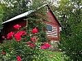 Barn (Photograph courtesy of Carole Mebus)