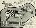 Big game hunting in Africa and other lands; the appearance, habits, traits of character and every detail of wild animal life (1910) (20183595019).jpg