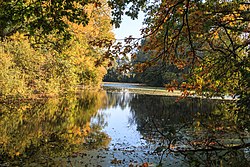 Binarovo jezero – mrtvé rameno řeky Orlice