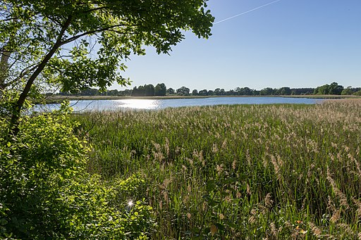 Biosphärenreservat Oberlausitzer Heide- und Teichlandschaft - Roter Lug