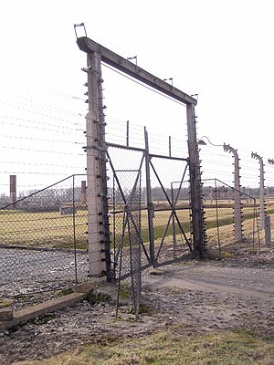 Campo Di Concentramento Di Theresienstadt: Terezín prima della seconda guerra mondiale, Ghetto e campo di concentramento di Terezin (1941-1945), I prigionieri e le loro condizioni di vita nel campo