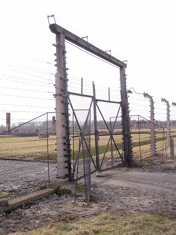 Pelarian Siegfried Lederer dari Auschwitz