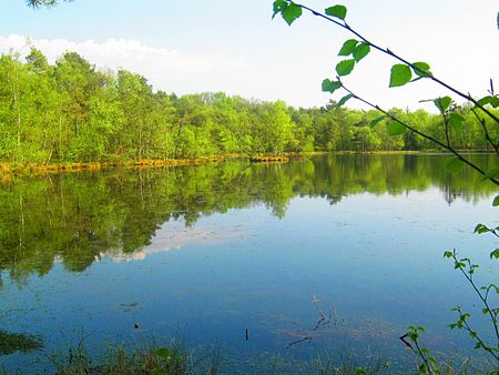 Birkensee im Naturschutzgebiet