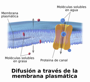 Azul de metileno - Wikipedia, la enciclopedia libre