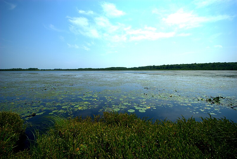 File:Blomberg Lake.jpg