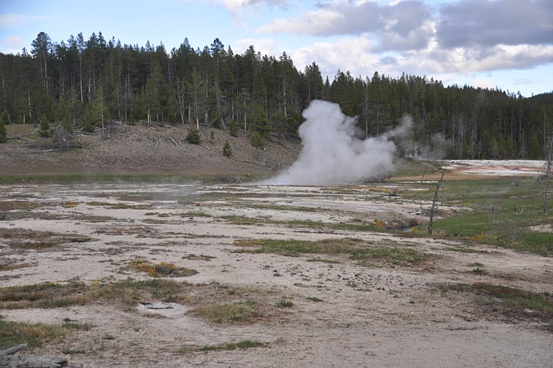 File:Botryoidal Spring erupting (White Creek Group) (31 May 2013 early evening) 5 (12292626983).jpg