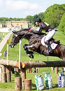 Rider at the 2014 Bramham Horse Trials Bramham International Horse Trials .jpg