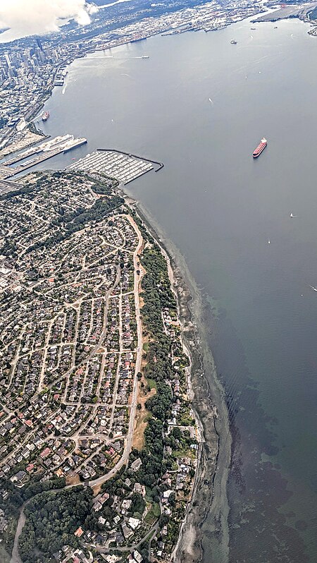 Briarcliff Magnolia Seattle aerial