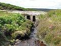 wikimedia_commons=File:Bridge over Feldon Burn (3) - geograph.org.uk - 525848.jpg