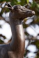 The first bronze statue (detail) of a deer in Syntagma square. It is a modern copy after the Roman statue (1st cent. A.D.) found at the Villa of the Papyri in Herculaneum. 19th cent. (?) Athens, Greece.