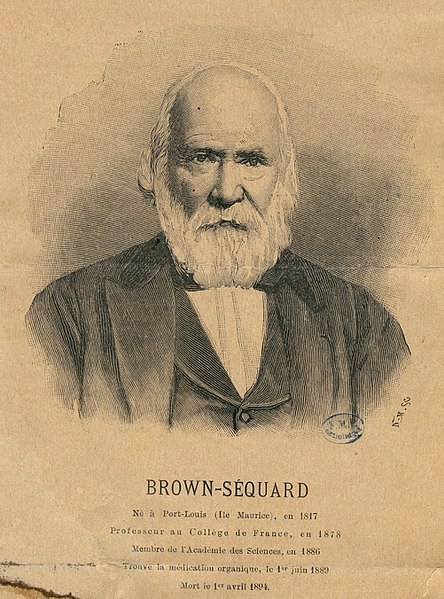 File:Brown - Sequard CIPB0447.jpg